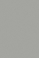 HPL 0197 BS Chinchilla Grey [NCS S 3000-N, Pantone Warm Grey 6 C]