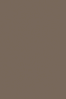 HPL 7166 BS Latté  [RAL 7006, Pantone 7531 C]