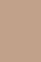 HPL 8533 BS Macchiato  [NCS S 3010-Y40R R, Pantone 4745 C]