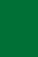 HPL 9561 BS Oxide Green [NCS S 3060-G10Y, RAL 6029,Pantone 349]