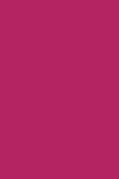 HPL K100 BS Raspberry Pink [NCS S 2065-R20B, RAL 7433]