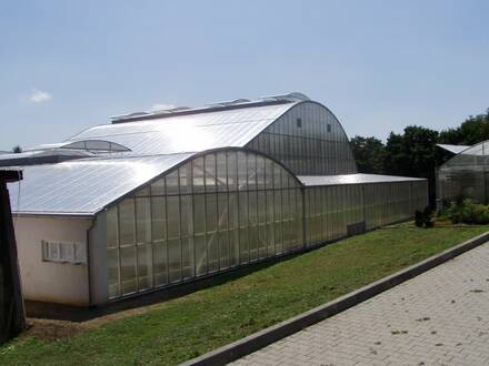Botanická zahrada Teplice