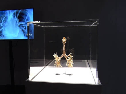The Human Body Exhibition - lepená vitrína z plexiskla