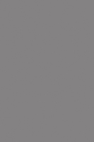 HPL 0171 BS Slate Grey  [NCS S 4500-N, RAL 7037, Pantone Cool Grey 8 C]