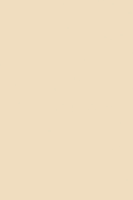 HPL K515 BS Sand [NCS 1010-Y30R]