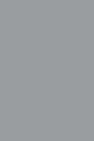 HPL 0519 BS Mouse Grey [NCS S 4000-N, Pantone Cool Gray 7C, RAL 7040]