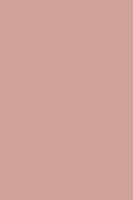 HPL 0512 BS Native Pink [NCS S 2020-Y80R]