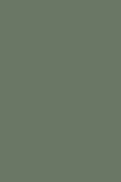 HPL 0521 BS Smoke Green [NCS S 6005-G20Y ,Pantone 4182 C, RAL 130 40 10]