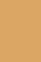 HPL 0519 BS Toffee [Pantone 7509 C]