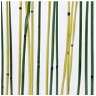 DesignPanel – bamboo green yellow