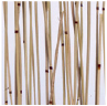 DesignPanel – bamboo nature brown (bambus)