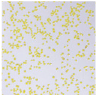 DesignPanel – glitter yellow (žluté třpytky)